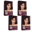Kit 4 TONALIZANTE HASKELL 366 CASTANHO ESCURO VERMELHO INTENSO Kit 4 TONALIZANTE HASKELL 366 CASTANHO ESCURO VERMELHO INTENSO