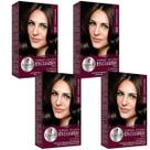 Kit 4 TONALIZANTE HASKELL 500 CASTANHO CLARO Kit 4 TONALIZANTE HASKELL 500 CASTANHO CLARO