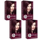 Kit 4 TONALIZANTE HASKELL 5562 CASTANHO CLARO VERMELHO VIOL ESP Kit 4 TONALIZANTE HASKELL 5562 CASTANHO CLARO VERMELHO VIOL ESP