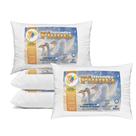 Kit 4 Travesseiro Pluma de Ganso Confortavel e Macio Antiacaro 70x50cm Kit:4 Unidades