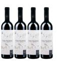 Kit 4 Un Vinho Casa Valduga Terroir Exclusivo Tannat 750 ml Kit 4 Un Vinho Casa Valduga Terroir Exclusivo Tannat 750 ml