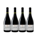 Kit 4 Un Vinho Zanotto Tinto Seco Syrah 750 ml