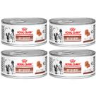 Kit 4 Unidades Royal Canin Recovery Lata 195g - Alimento Úmido para Cães e Gatos em Recuperação