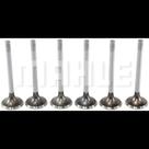 Kit 4 Válvula admissão Scenic 1999 a 2005 Metal Leve Kit 4 Válvula admissão Scenic 1999 a 2005 Metal Leve