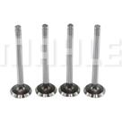 Kit 4 Válvula escape Chevrolet D10 1984 a 1994 Metal Leve