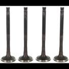 Kit 4 Válvula escape Honda Lead 110 2009 a 2016 Metal Leve