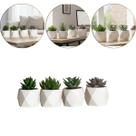 Kit 4 Vaso de Suculentas Artificiais Plantas de Decoração