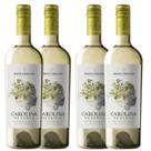 Kit 4 Vinho Branco Chileno Santa Carolina Reserva Sauvignon Blanc 750 ml Kit 4 Vinho Branco Chileno Santa Carolina Reserva Sauvignon Blanc 750 ml