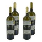 Kit 4 Vinhos Barrica Andina Sauvignon Blanc Branco Chile 750ml Kit 4 Vinhos Barrica Andina Sauvignon Blanc Branco Chile 750ml
