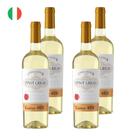 Kit 4 Vinhos Le Casine Pinot Grigio Branco Itália 750ml