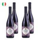 Kit 4 Vinhos MGM Roversi Barbera Tinto Itália 750ml