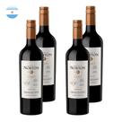 Kit 4 Vinhos Norton Select Cabernet Sauvignon Tinto Argentina 750ml