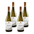 Kit 4 Vinhos Settesoli Pinot Grigio Branco Itália 750ml