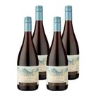 Kit 4 Vinhos Ventisquero Queulat Gran Reserva Pinot Noir Tinto Chile 750ml Kit 4 Vinhos Ventisquero Queulat Gran Reserva Pinot Noir Tinto Chile 750ml