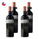 Kit 4 Vinhos Ventisquero Reserva Red Blend Tinto Chile 750ml