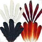 Kit 4un Pena de Passaro Ekodide Aluko Agbe Leke Leke Ritual Africano