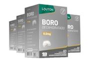 Kit 4x Boro Decahidratado 8,0mg 60 cápsulas Lauton