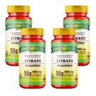 Kit 4x Citrato Magnésio 260mg 4x60 cápsulas Unilife Kit 4x Citrato Magnésio 260mg 4x60 cápsulas Unilife