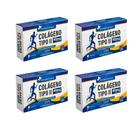 Kit 4x Colágeno Tipo II 40mg 4x60 cps Flora Nativa