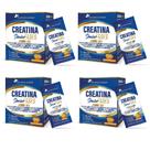 Kit 4x Creatina Sênior Fases + Associações Tangerina 4x20 sachês 200 gramas cada Flora Nativa Sabor:Tangerina