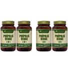 Kit 4x Extrato Seco Própolis Verde 60 Capsulas 500mg
