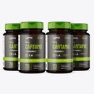 Kit 4x - Óleo de Cártamo c/ Vitamina E (1 g) - 70 cápsulas