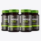 Kit 4x - Própolis Verde - 70 cápsulas - Omix