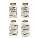 Kit 4x Psyllium 4x60 cps Flora Nativa Sabor:Sem sabor