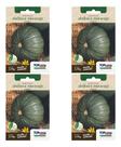 Kit 4x Sementes Abóbora Moranga Coroa Horta Em Casa Cultivo