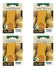 Kit 4x Sementes De Abóbora Menina Creme Butternut Para Mudas
