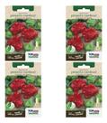 Kit 4x Sementes De Pimenta Cambuci (chapéu De Bispo) Hortas