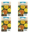 Kit 4x Sementes De Tagetes Africano Gigante Dobrado Sortido Kit 4x Sementes De Tagetes Africano Gigante Dobrado Sortido