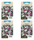Kit 4x Sementes De Vinca Anã Sortida Para Vasos Mudas Jardim