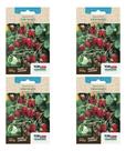 Kit 4x Sementes Morango Silvestre Ornamental Frutífera 60mg