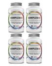 Kit 4x Suplemento Alimentar Complexo B 60 cápsulas Flora Nativa