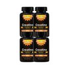 Kit 4x Suplemento Creatina 500mg 120 Cápsulas - CHAMEL