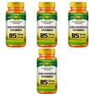 Kit 4x Vitamina B5 Ácido Pantotênico 4x60 cápsulas Unilife