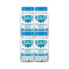 Kit 4x Vitamina Magnesio Quelato 360 mg 60 Cps - CHAMEL