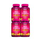 Kit 4x Vitamina Silício 100mg 60 cps - HERBAMED