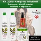 Kit 4x1 Capilar Anti Queda Jaborandi Shampoo Condicionador Máscara Reparador de Pontas Selagem Capi