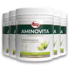 Kit 5 Aminovita Vitafor Vegano 240g Limão