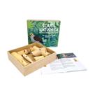 Kit 5 Apitos Sons de Pássaros na Caixa com Tampa Brinquedos Educativos Madeira Newart 3 anos Apito