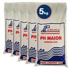 Kit 5 Barrilha Leve 1kg - Elevador De Ph Para Piscina