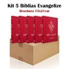 Kit 5 Bíblia Sagrada Brochura Bordô - Evangelização - Textos Coloridos Letra Média