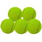 Kit 5 Bolinhas De Tênis Para Pet (RUIM)