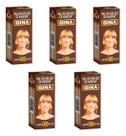 Kit 5 Caixa Palito De Dente Especial C100 Unid Gina