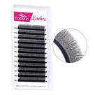 Kit 5 caixas - Fadvan 4D - 4 D W - Extensão Cílios Volume