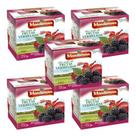 Kit 5 Caixinhas Chá Frutas Vermelhas 10 Sachês - Mandiervas