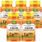 Kit 5 Cálcio Quelato Puro 300 Caps Fortalece Ossos Unilife