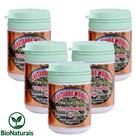 Kit 5 Castanha Indiana Concentrado Original 30 Caps Suplemento Nutricional